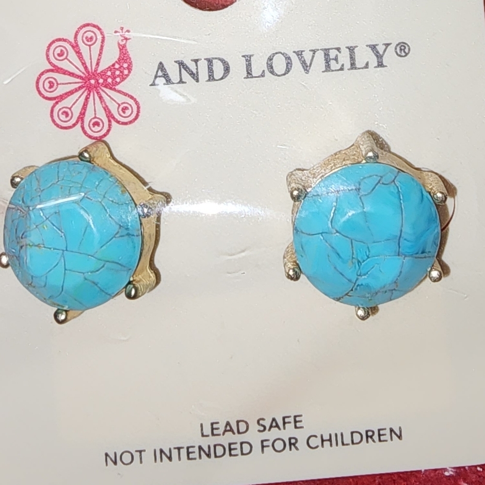 And Lovely Turquoise Look Earrings NWT